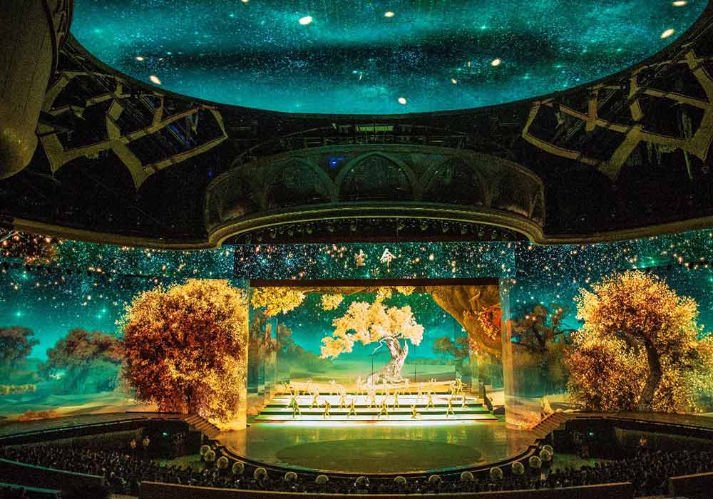 大型室内实景民族歌舞秀