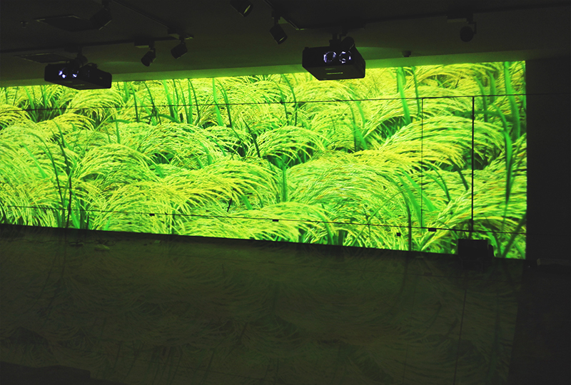 银川当代美术馆创意体感互动