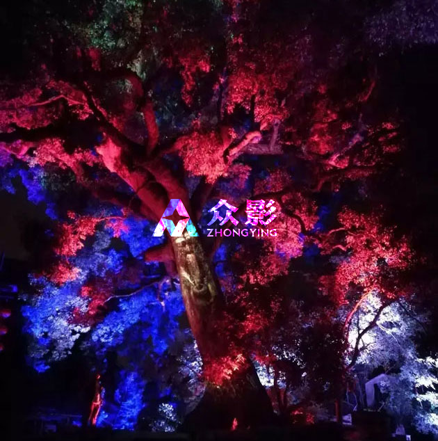 《古树魅影》全息投影