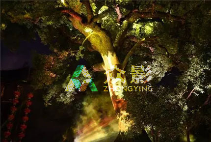 《古树魅影》全息投影