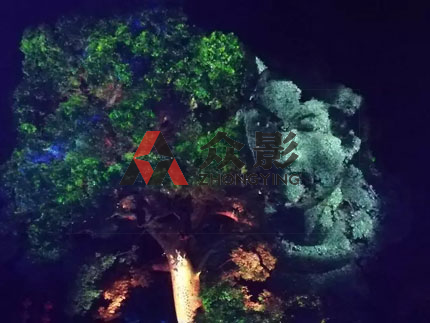 《古树魅影》全息投影
